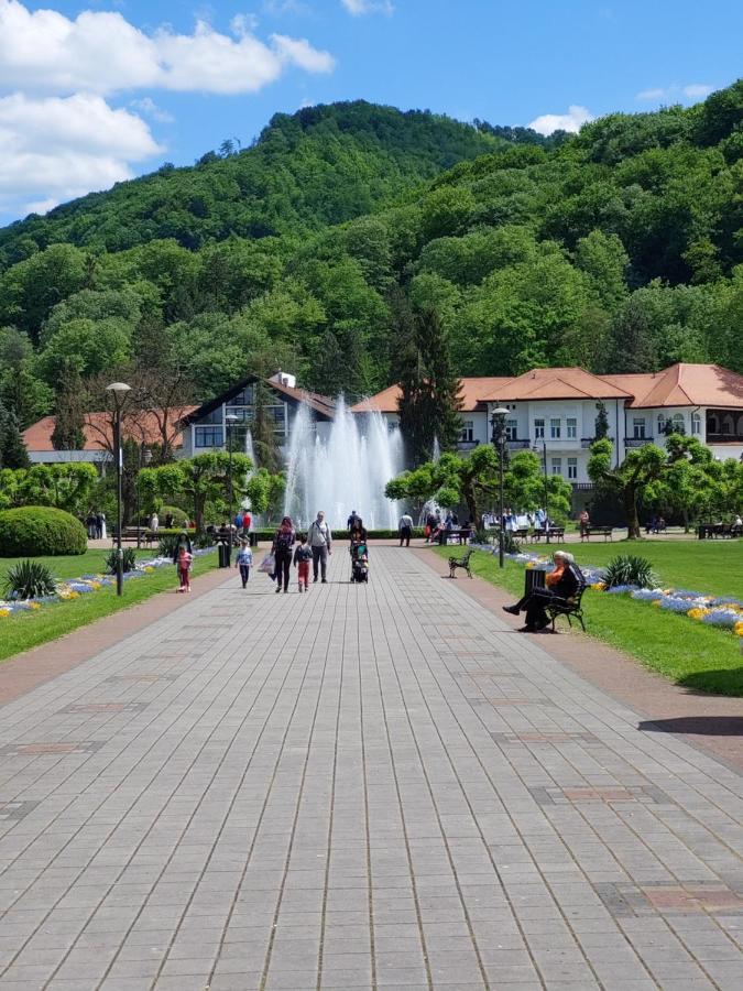Hotel Aleks Sobe Banja Koviljača Exterior foto